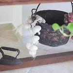Abbaino 4* Масса