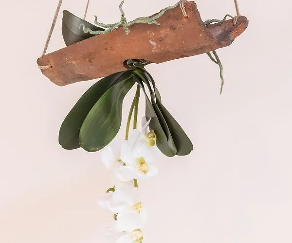 Abbaino 3* Massa (Tuscany)