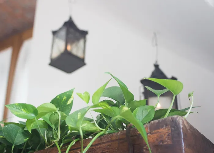 Oda ve Kahvaltı Abbaino 4*