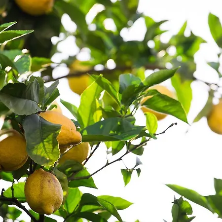 Abbaino 3* Massa (Tuscany)